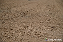 VBS_7505 - Andare lontano, oltre i campi da arare... e ancora più in là